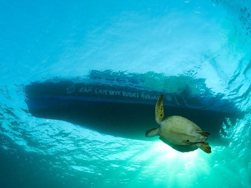 Raja Laut Dive Resort Бунакен Экстерьер фото